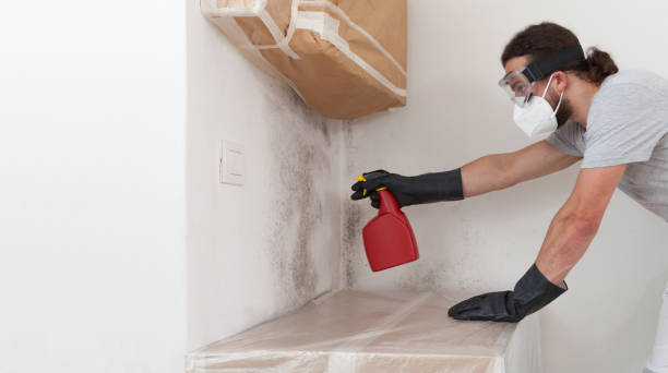 Professional Mold Inspection And Testing technician working in Stevens, PA